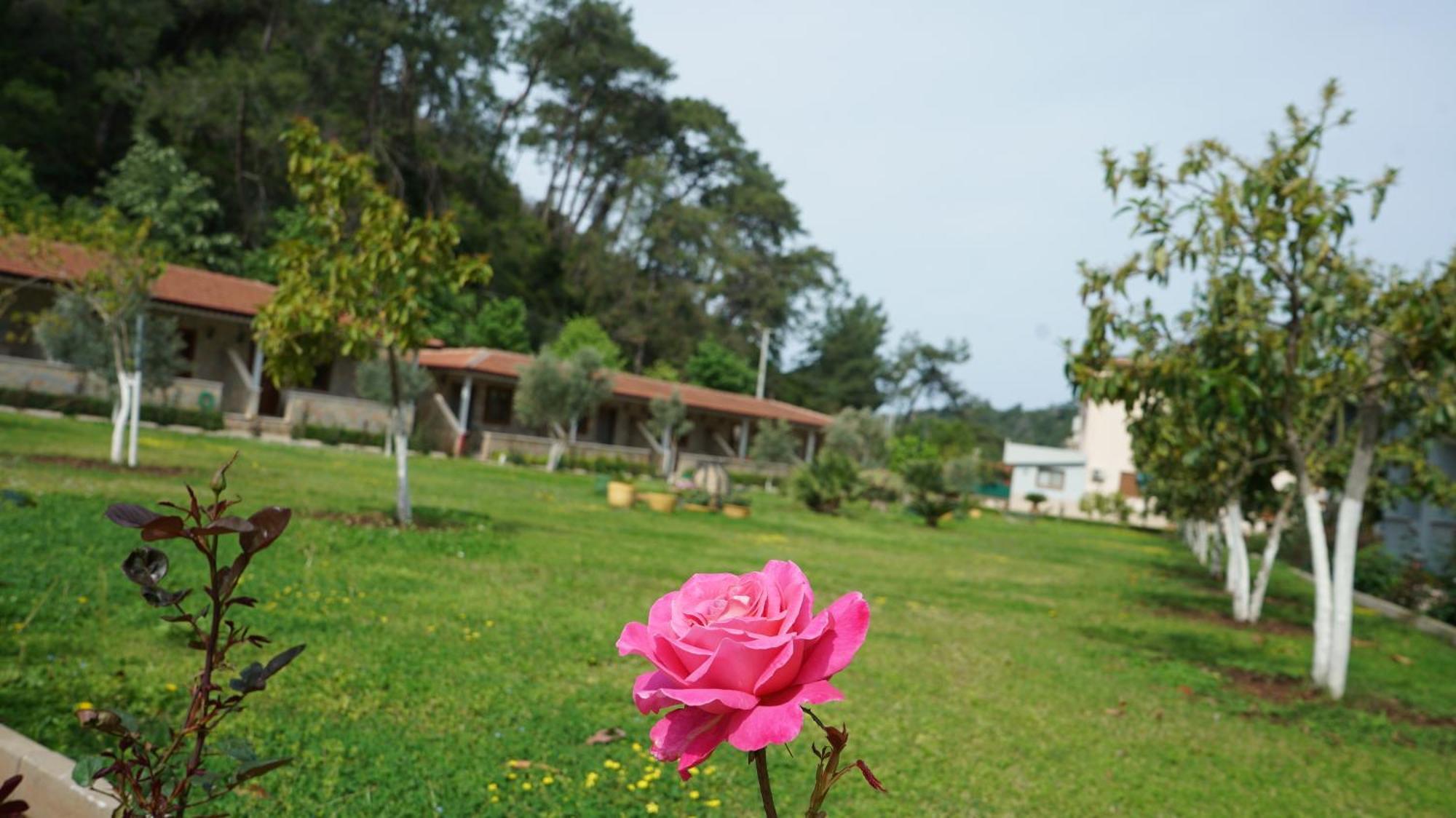 Doga Ciftlik Konaklama Marmaris Exterior photo